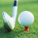  60 chiếc PGM QT012 Golf Ribbon kim Golf Nhựa Bóng Tee, Giao hàng màu sắc ngẫu nhiên, Đặc điểm kỹ thuật: 31mm 