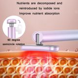  Micro-hiện tại Iontophoresis Massage Massage Beauty Cụ (tiếng Anh) 