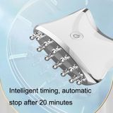  SM-2102 EMS Màu ánh sáng Meridian Nạo vét Massager (Bạc trắng) 