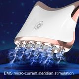  SM-2102 EMS Màu ánh sáng Meridian Nạo vét Massager (Bạc trắng) 