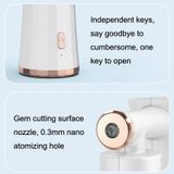  XL022 Ánh sáng màu xanh nano Nano cao oxy cầm tay thiết bị làm đẹp Essence Irsence Irsence (White) 