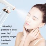  XL022 Ánh sáng màu xanh nano Nano cao oxy cầm tay thiết bị làm đẹp Essence Irsence Irsence (White) 