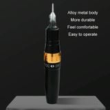  Lip Tattoo Eyebrow Particle Line Instrument Tất cả trong một máy (Phích cắm US) 