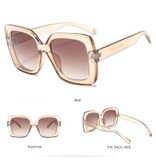  2 CÁI Kính râm quá khổ dành cho nữ Kính râm trong suốt sang trọng Kính chống nắng Khung lớn Kính mắt cổ điển Kính UV400 (Nâu) 