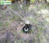 Đầu tưới cỏ phun tia Pop Up 1804 RainBird (R-Van)