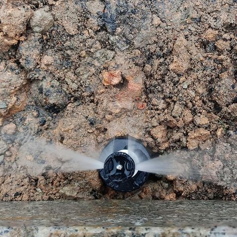 Đầu tưới cỏ Pop Up 1804 RainBird (Strip Van)