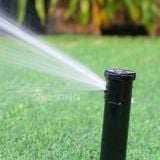 Đầu tưới cỏ Pop Up 3504 RainBird