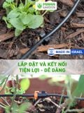 Ống dẫn nước mềm PE 4mm Israel