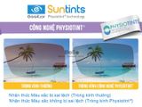  Essilor Suntints MaxAz 1.56 