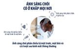  Tròng Kính Chống Chói Lái Xe Siêu Mỏng Essilor Crizal Sapphire HR 1.67 