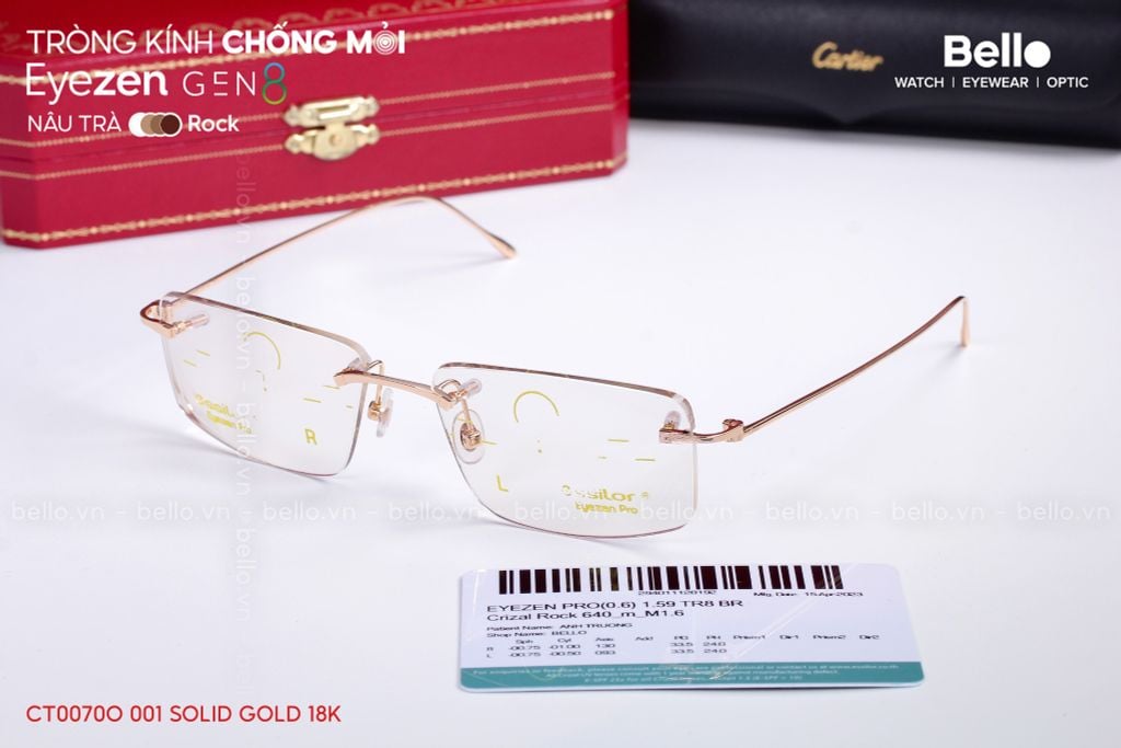  Cartier CT0070O 003 - Precious - Gọng Vàng Đúc Solid Gold 