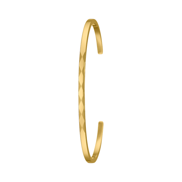  Casio LTP-2024VMG-3C - Uy tín từ 2009, Tem vàng chống giả, Bảo hành 1 năm, Pin miễn phí trọn đời 