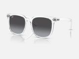  Kính Mát Ray-Ban RB4401D 6447/8G chính hãng GIÁ TỐT LIÊN HỆ 0948.74.5959 (Mrs.Hà) 