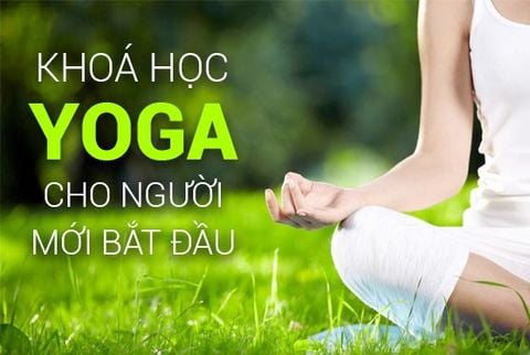 Khoá học Yoga cho người mới bắt đầu