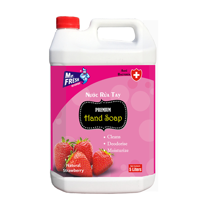 Nước rửa tay khử mùi Mr.Fresh 5L ( hương dâu)