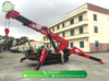 Mini Crawler Crane