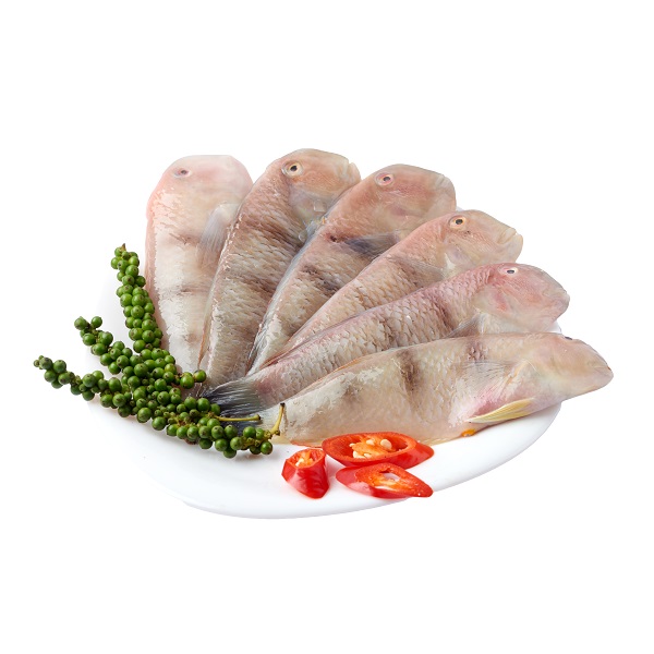 Cá Mó 18 - 22Con/Kg 300G