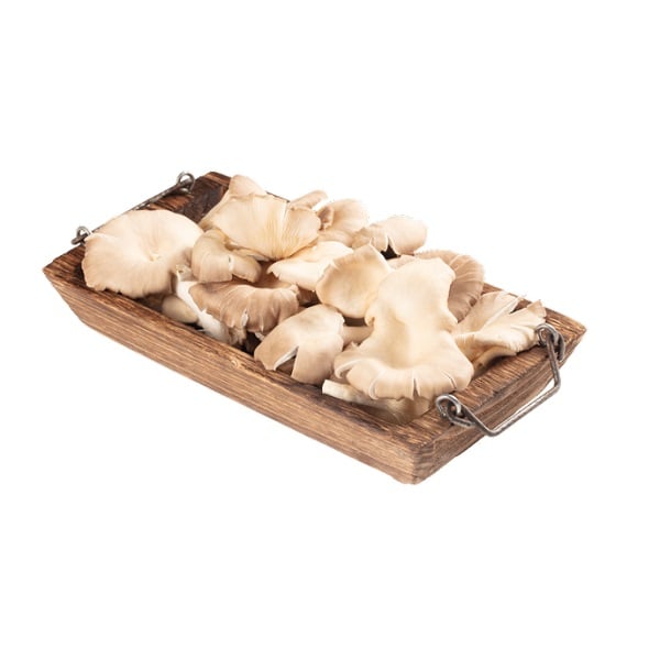 Nấm Bào Ngư Xám Sông Xanh 200G