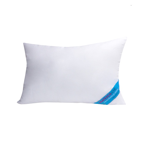 Ruột Gối Đầu Thắng Lợi 50 X 70Cm