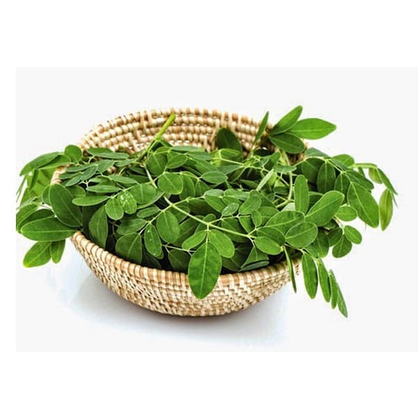 Rau Chùm Ngây 150G