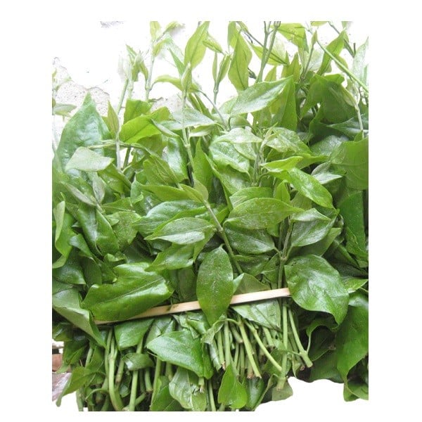 Rau Ngót Nhật Rau Cười Việt Nhật 250G