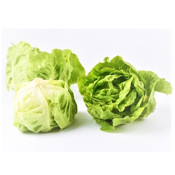 Xà Lách Mỡ Thủy Canh Đà Lạt Gói