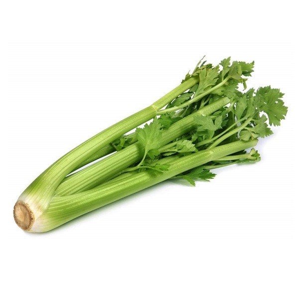 Cần Tây Đà Lạt/ Cây