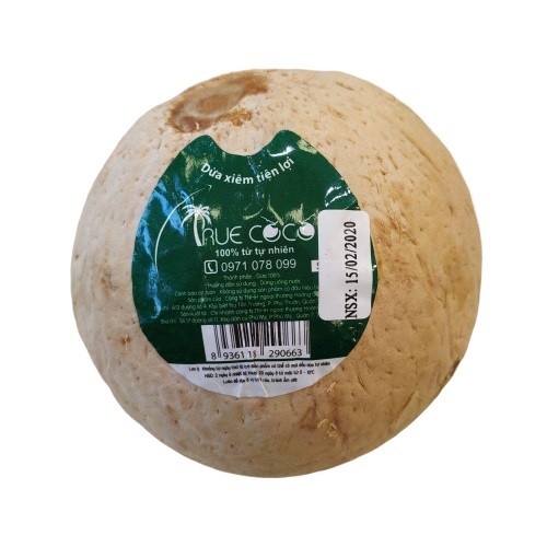 Dừa Xiêm Sọ True Coco Size Lớn