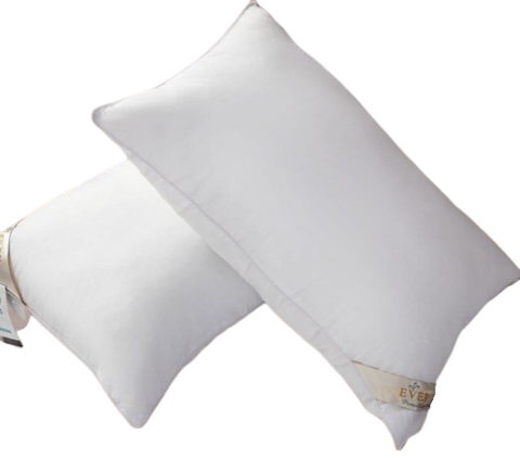 Ruột Gối Nằm Trắng Everon 45X65 Cm