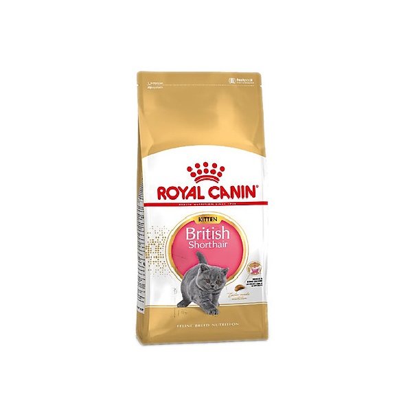 Thức Ăn Mèo British Shorthair Kitten Royal Canin Rc251960 400G