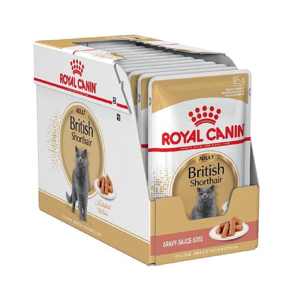 Pate Cho Mèo British Shorthair Adult Royal Canin Rc240820 85G