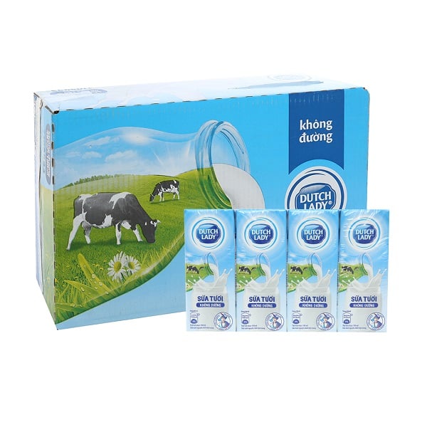 Thùng 48 Sữa Cô Gái Hà Lan Không Đường 180Ml