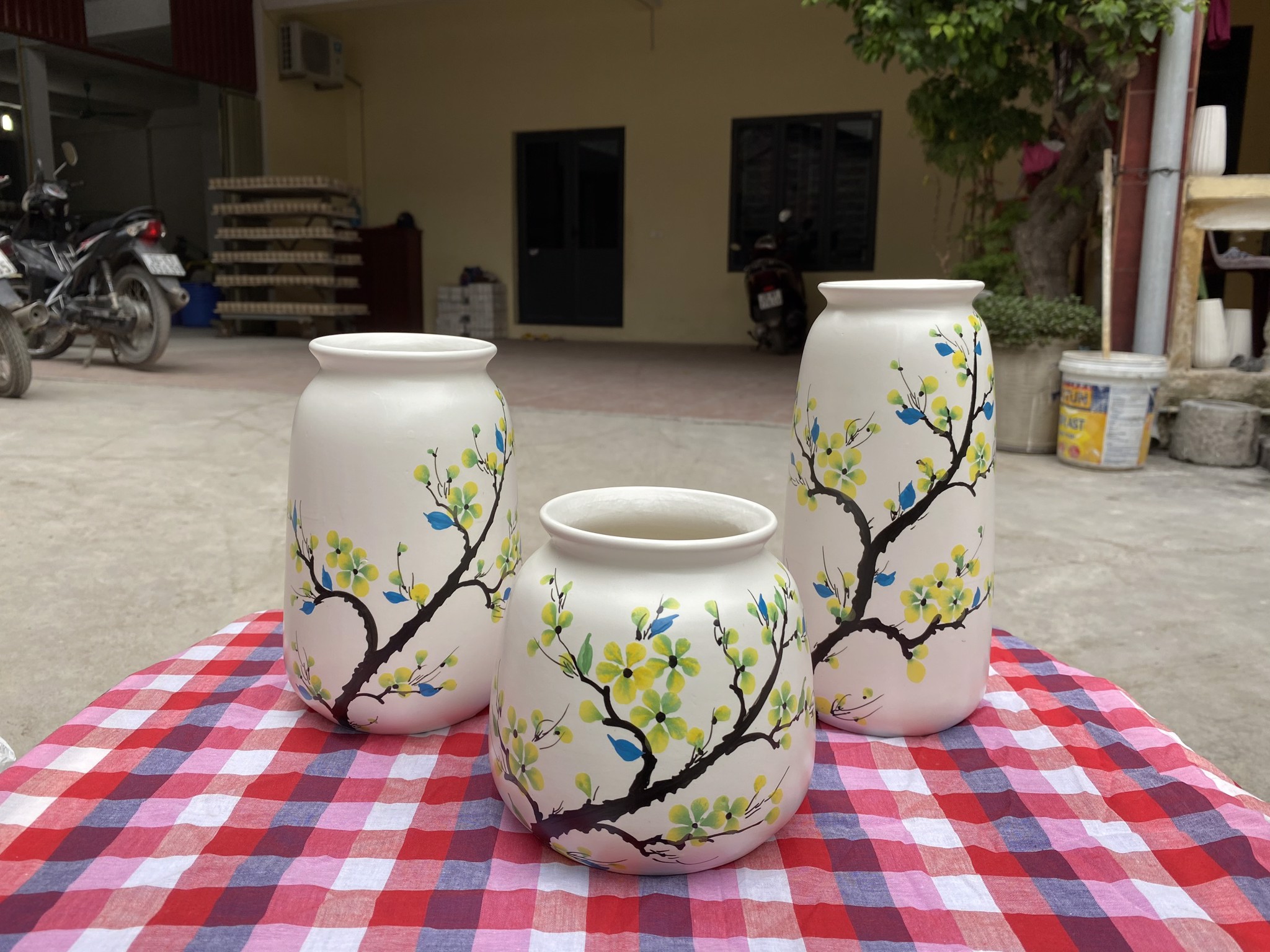 Hình ảnh Vò Lùn Số 1 Hình ảnh Vò Lùn Số 1