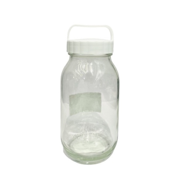 Ds Bình Thủy Tinh Màu Trắng 900Ml