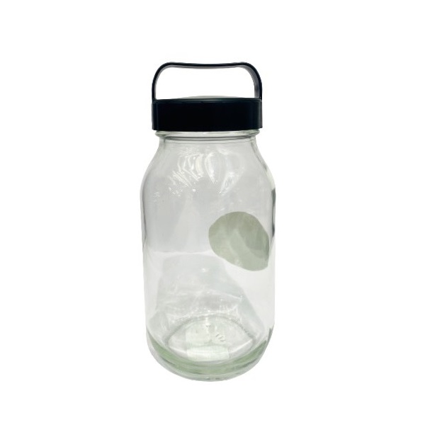 Ds Bình Thủy Tinh Màu Đen 900Ml