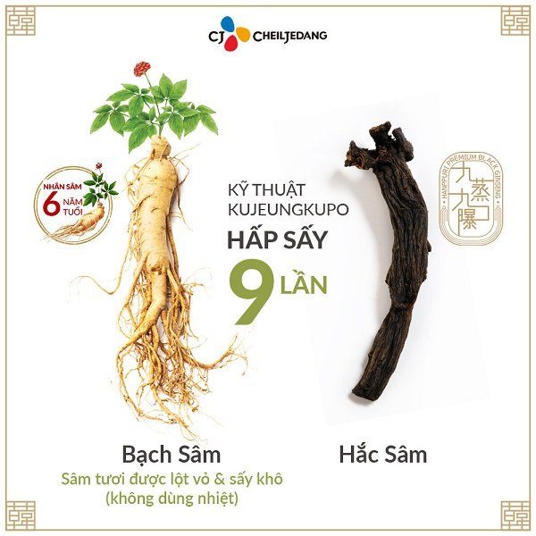 Thực Phẩm Bảo Vệ Sức Khỏe CJ Hanppuri Korean Royal Black Ginseng Extract Hộp 10 Gói x 10g