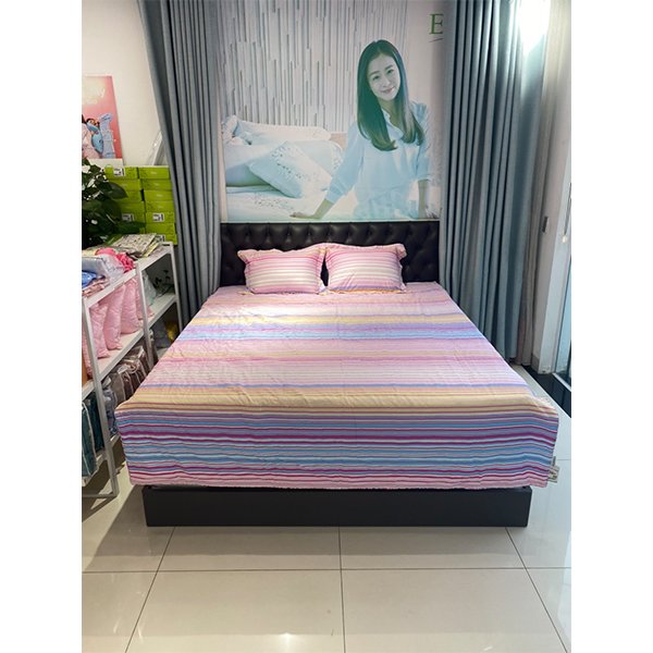 Bộ Ga Chun Everon 160*200 Newsr25