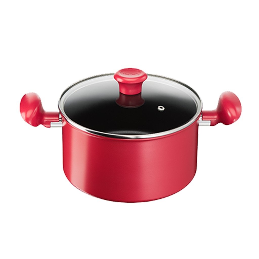 Nồi Tefal So Chef 22Cm G1354595