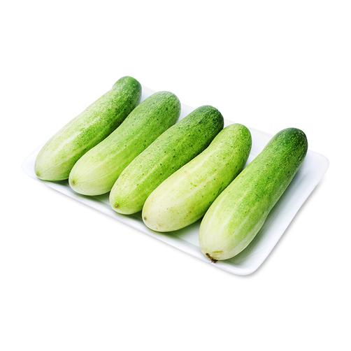 Dưa Leo Khay 500G Vỉ