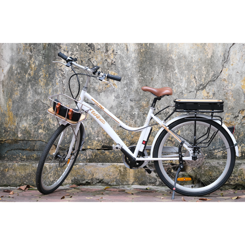 Xe Đạp Điện 24'' Wiibike Summer - Trắng