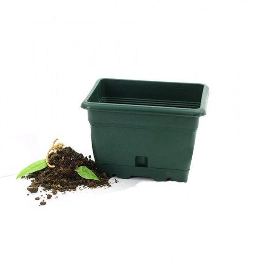 Chậu Hoa Serinova V600 2.75L Màu Xanh