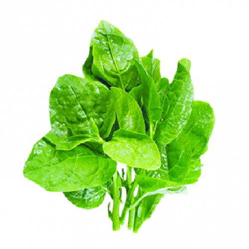 Mồng Tơi Vietgap 500G Gói