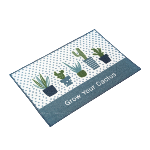 Thảm Nylon In Carmi 40X60Cm Catus