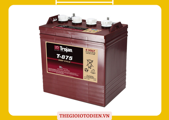 Bình ắc quy Trojan 8V 170AH T-875