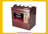 Bình ắc quy Trojan 8V 170AH T-875
