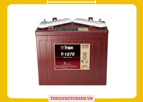  Bình ắc quy trojan 12V-150AH T1275 