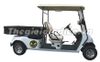 Ô tô điện chở hàng 2 chỗ EAGLE EG2048HCX