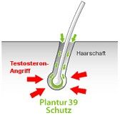 PLANTUR 39 Tonikum - Xịt dưỡng chân tóc, kích thích mọc tóc Haarwasser Phyto-Coffein Tonikum, 200 ml