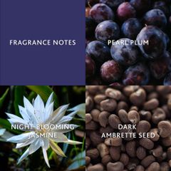 Christina Aguilera Moonlight Bloom - Nước hoa Nữ hương hoa Nhài và hoa Mận, 30ml