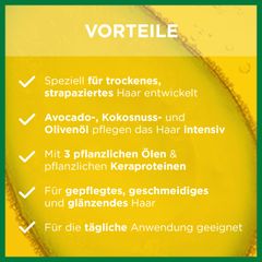 GARNIER Fructis - Dưỡng tóc chuyên sâu xịt không cần xả - Oil Repair 3 Duo-Effekt Pflege Spray, 150 ml